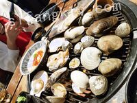 我和愛養泰迪的女友那些風流事 分手後的性生活泄露 內射流精 完美露臉 高清