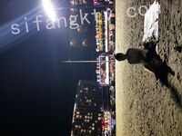 我和愛養泰迪的女友那些風流事 分手後的性生活泄露 內射流精 完美露臉 高清