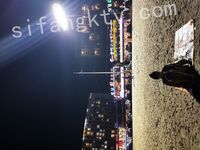 我和愛養泰迪的女友那些風流事 分手後的性生活泄露 內射流精 完美露臉 高清