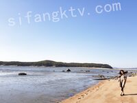 我和愛養泰迪的女友那些風流事 分手後的性生活泄露 內射流精 完美露臉 高清