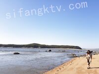 我和愛養泰迪的女友那些風流事 分手後的性生活泄露 內射流精 完美露臉 高清