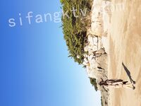 我和愛養泰迪的女友那些風流事 分手後的性生活泄露 內射流精 完美露臉 高清