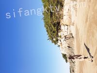 我和愛養泰迪的女友那些風流事 分手後的性生活泄露 內射流精 完美露臉 高清