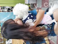 我和愛養泰迪的女友那些風流事 分手後的性生活泄露 內射流精 完美露臉 高清