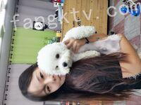 我和愛養泰迪的女友那些風流事 分手後的性生活泄露 內射流精 完美露臉 高清