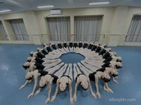 【黑客破解】台中18歲的舞蹈班學員黃嘉雯 各種私拍泄密流出6