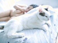 18禁極品巨乳清純妹【詩彤恩-出國留學的鄰居妹妹暑假回國立刻來找我玩禁忌游戲】