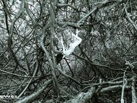 出山就封神！推特超強SM大神【奴印文化】五位御用極品反差女奴推特勁爆調教原版無水印小雲朵-xiaoyunduoya