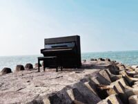 超人氣大神『王動』2022最新重磅私拍 全新嫩模 全裸出鏡 情色藝術完美結合 高清