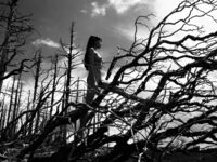 超人氣大神『王動』2022最新重磅私拍 全新嫩模 全裸出鏡 情色藝術完美結合 高清