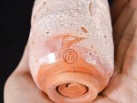 超人氣大神『王動』2022最新重磅私拍 全新嫩模 全裸出鏡 情色藝術完美結合 高清