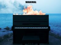 超人氣大神『王動』2022最新重磅私拍 全新嫩模 全裸出鏡 情色藝術完美結合 高清