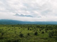 超人氣大神『王動』2022最新重磅私拍 全新嫩模 全裸出鏡 情色藝術完美結合 高清