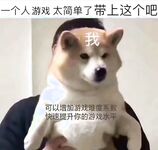 字母界女神『薈萃』帶壞淫戲調教母狗 露出訓犬捆綁 調教金屬光澤閃耀M奴之心 高清