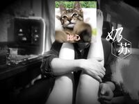 字母界女神『薈萃』帶壞淫戲調教母狗 露出訓犬捆綁 調教金屬光澤閃耀M奴之心 高清