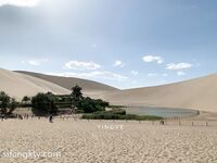 【精品推荐】极品骚气淫荡母狗 开发露脸露点的高颜值女神