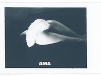 走另類情色唯美路線的攝影大咖AMA女體藝術私拍各種露臉極品反差美模觀感另一種滋味