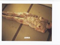 走另類情色唯美路線的攝影大咖AMA女體藝術私拍各種露臉極品反差美模觀感另一種滋味