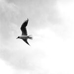 走另類情色唯美路線的攝影大咖AMA女體藝術私拍各種露臉極品反差美模觀感另一種滋味