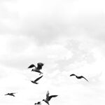 走另類情色唯美路線的攝影大咖AMA女體藝術私拍各種露臉極品反差美模觀感另一種滋味