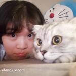 百位網紅良家母狗性愛甄選 強推極品美乳高顏女神 楚楚可憐招人操