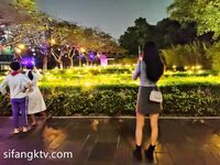 百位網紅良家母狗性愛甄選 強推極品美乳高顏女神 楚楚可憐招人操