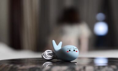 PANS內部資源流出，美模狐狸、露露、小小大膽露點私拍+46套現場模特，私處半露半隱屬實誘人 (3)