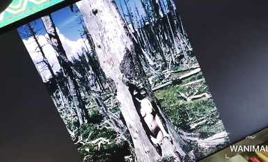 超人氣大神『王動』2022最新重磅私拍 全新嫩模 全裸出鏡 情色藝術完美結合 高清 (3)