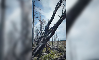 超人氣大神『王動』2022最新重磅私拍 全新嫩模 全裸出鏡 情色藝術完美結合 高清 (1)