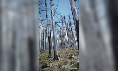 超人氣大神『王動』2022最新重磅私拍 全新嫩模 全裸出鏡 情色藝術完美結合 高清 (1)