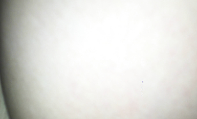 最新高清精品高顏值嫩妹良家性愛泄密 反差美乳豐臀騷貨的淫盪另一面 完美露臉 高清 (4)