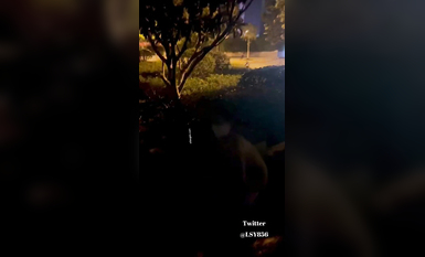 最新推特七位人氣蘿莉女主露出私拍 戶外野戰全裸路邊翹美臀後入啪啪林淑怡 (8)