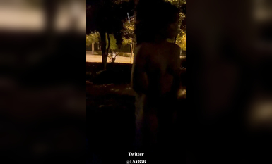 最新推特七位人氣蘿莉女主露出私拍 戶外野戰全裸路邊翹美臀後入啪啪林淑怡 (8)