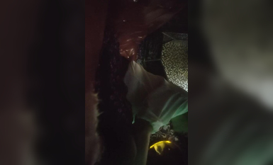 【與熟女的激情】KTV廁所操騷女，唱唱歌跳跳舞，掏出屌吸吮，帶到廁所後入猛操