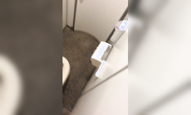 【偷拍精品】大神潜入学校女厕偷拍多位漂亮学妹的小嫩鲍 (2)