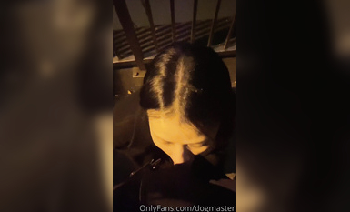 最新流出萬狼求購OnlyFans地獄調教大咖【狗王】私拍第二季 (19)