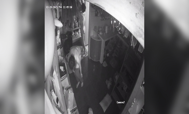 2023最新流出黑客 破解家庭攝像頭偷拍啪啪合集 小哥站著無套搞媳婦逼逼精液流了一地 (10)