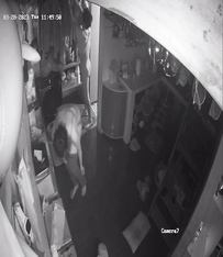 2023最新流出黑客 破解家庭攝像頭偷拍啪啪合集 小哥站著無套搞媳婦逼逼精液流了一地 (10)