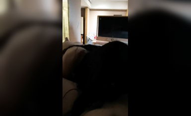 真槍實彈玩肏車模、外圍、空姐反差騷母狗~推特實力大神Myyy369約炮私拍~調教毒龍水戰各種後入 (5)