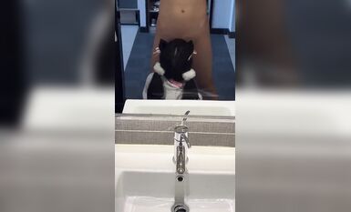 【超級精品 女神蘿莉】御姐女神『蔓蘇+性愛大神『肥牛』最新終極調教M極品嫩穴蘿莉 口爆內射爽個夠 高清肥牛 (8)