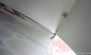 無任何水印4K原版 經典之作 電子廠八月份整理合集 (5)