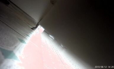 無任何水印4K原版 經典之作 電子廠八月份整理合集 (8)