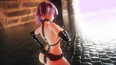 ai國人動畫大師@Shirakami 尺度作品合集4 (11)