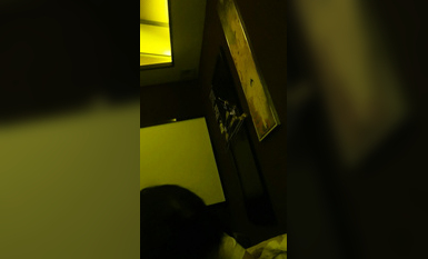 yanyan：；“。”