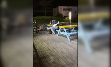 廈門RUO'S便利店 當眾撿屍事件