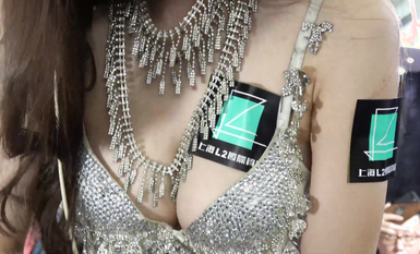 【國內車展】稀缺好貨視覺沖擊 豐乳肥臀、露奶露毛 個個頂級美女 1  (3)