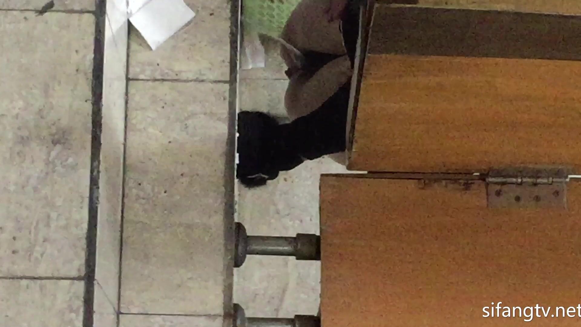 廁拍精品模特公司 女廁偷拍美女模特噓噓 個個都是高顏值美女顏值堪比明星 (1)