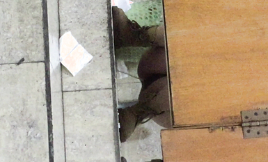 廁拍精品模特公司 女廁偷拍美女模特噓噓 個個都是高顏值美女顏值堪比明星 (22)