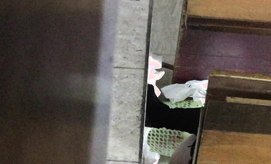 廁拍精品模特公司 女廁偷拍美女模特噓噓 個個都是高顏值美女顏值堪比明星 (16)