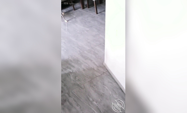 海角社區叔嫂亂倫大神小鋼炮 大哥走後終於可以肆無忌憚的操極品尤物大嫂了